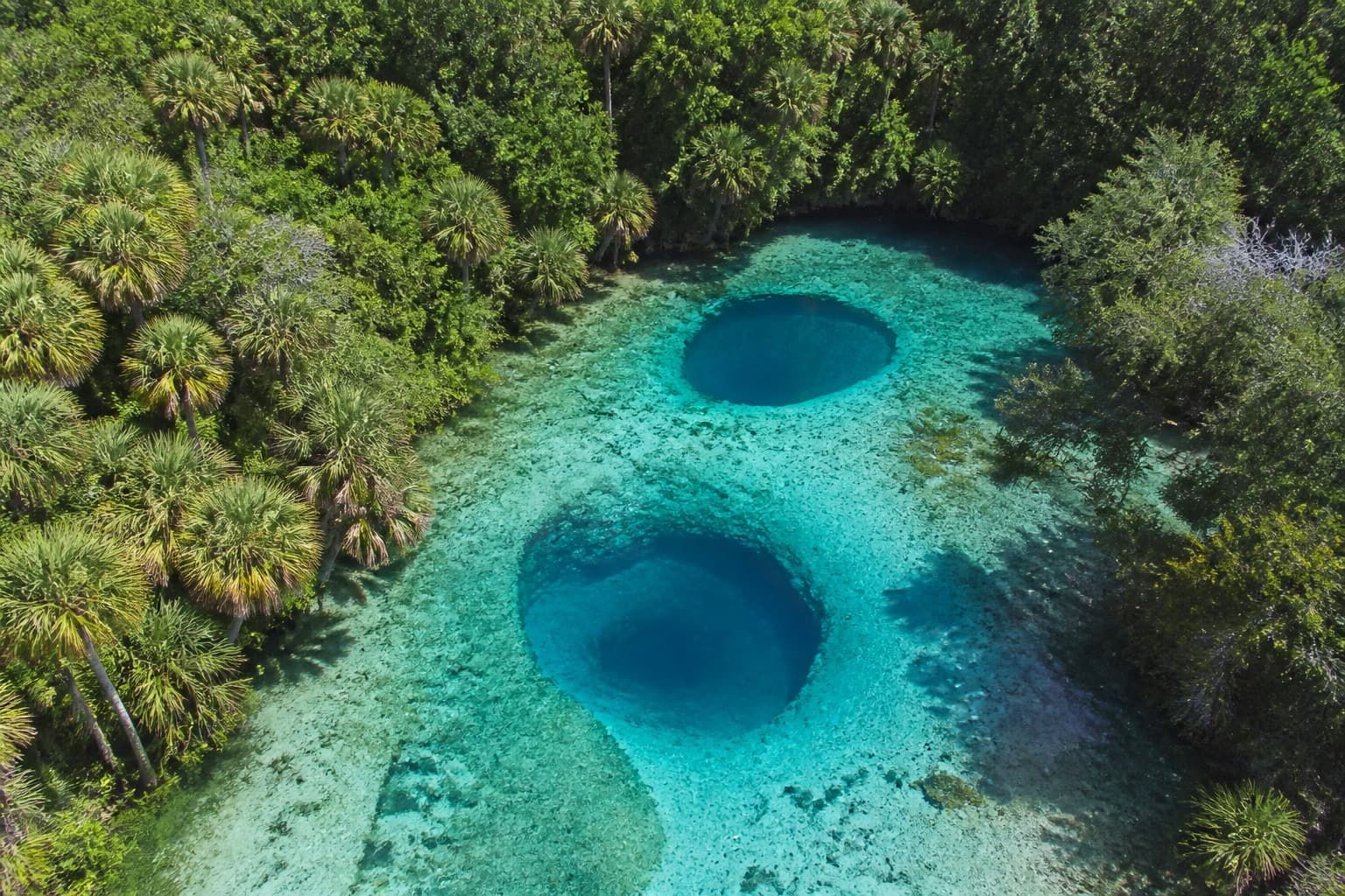 Clear turquoise spring water in Citrus County, Florida, ringed by palms and moss-draped forest.